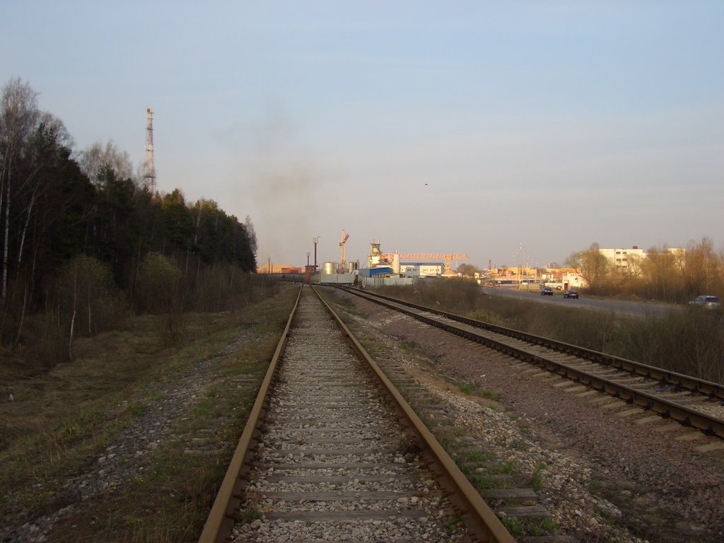 Рельсы