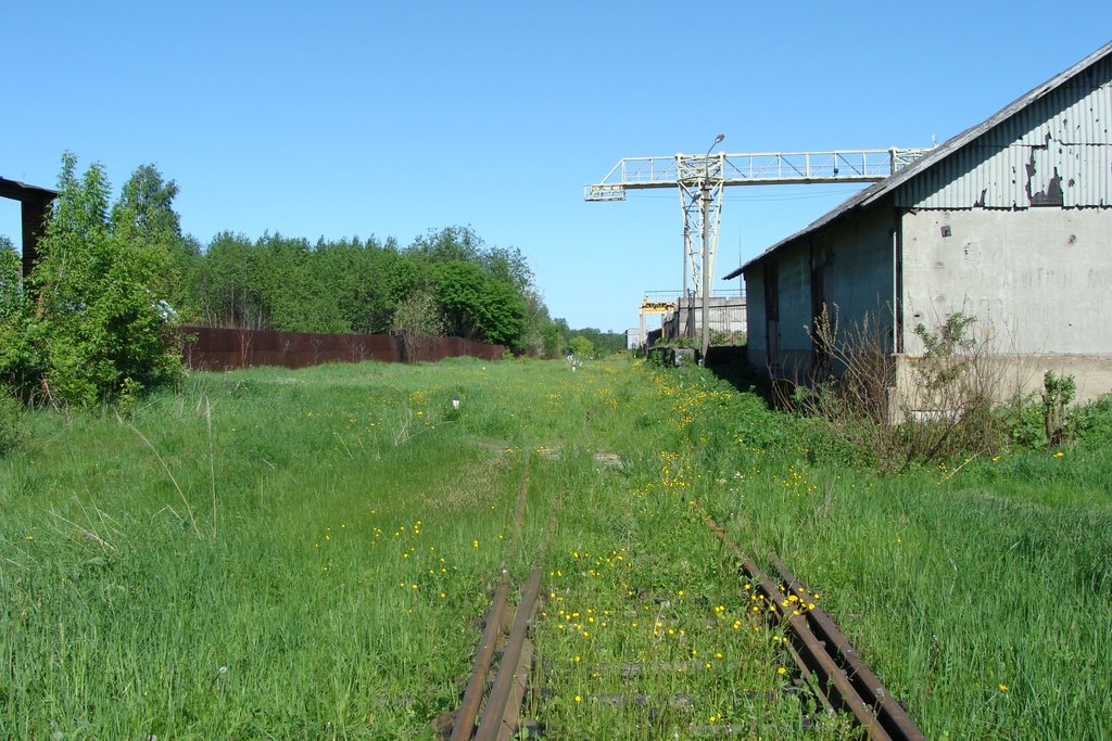 Высоковск