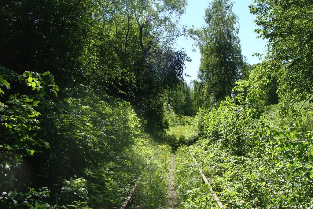 Клинский район, Московская область