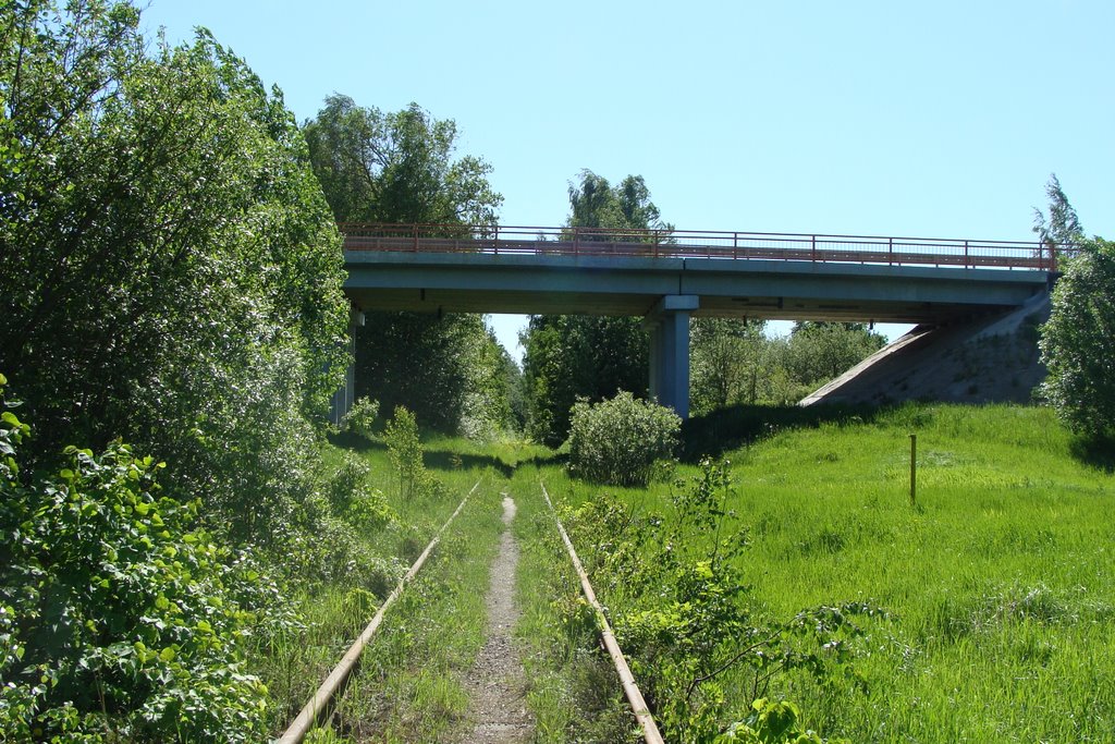 Клинский район, Московская область