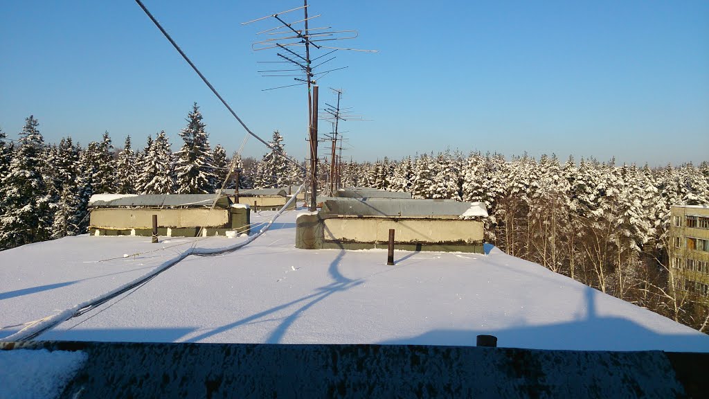 Крыша / Roof