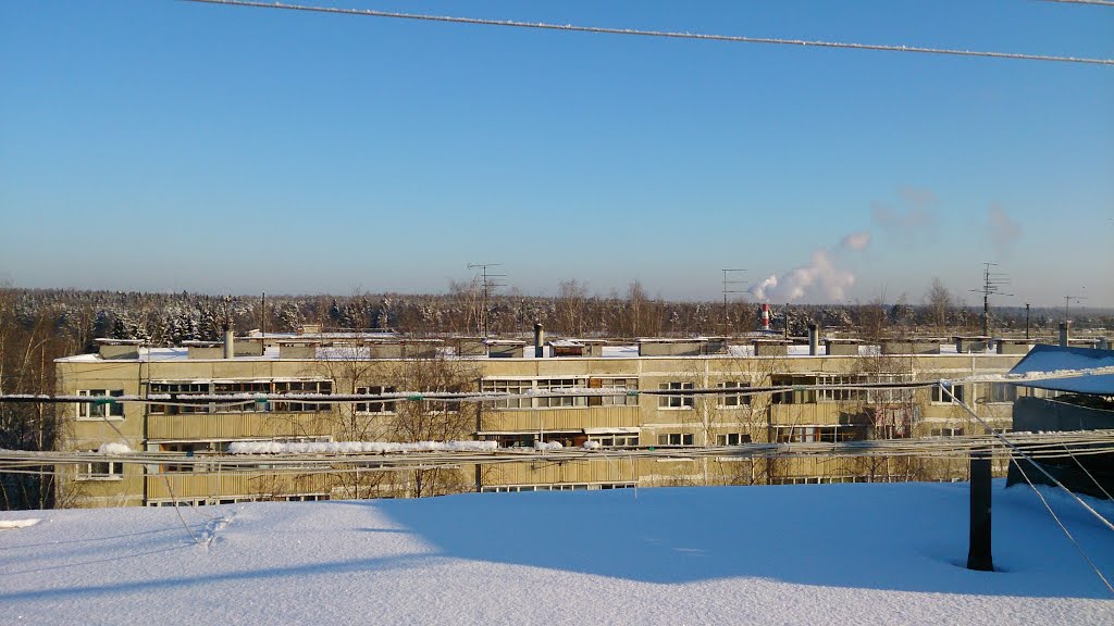 Крыша / Roof