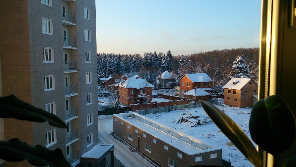 Новый вид / New view of the yard