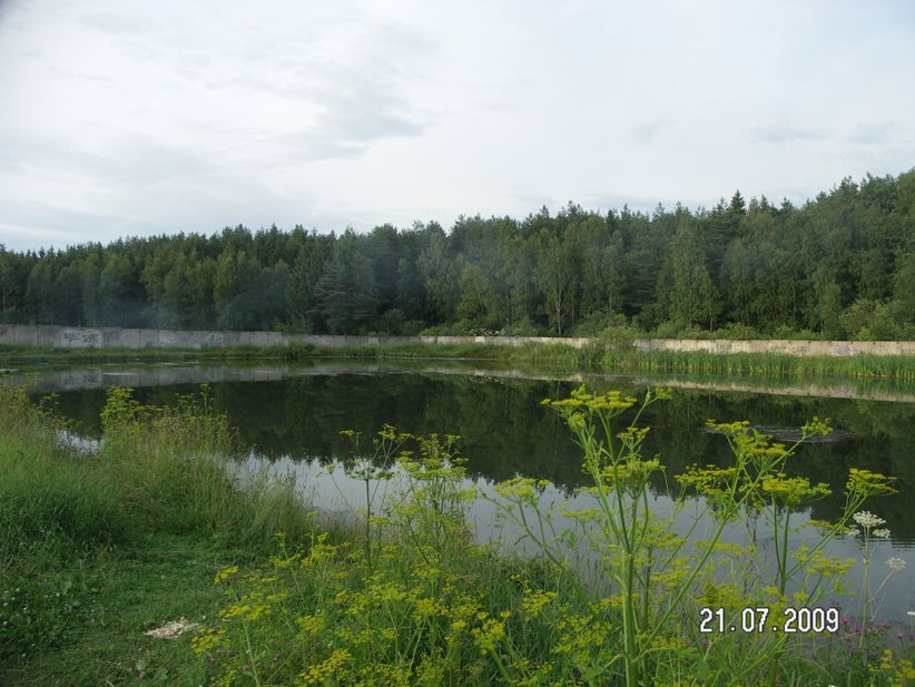Pond
