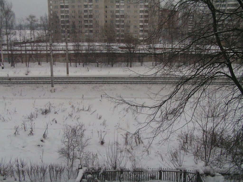 Вид из окна