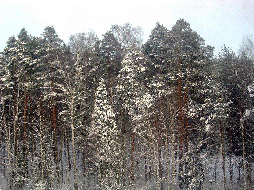 пос. Правдинский
