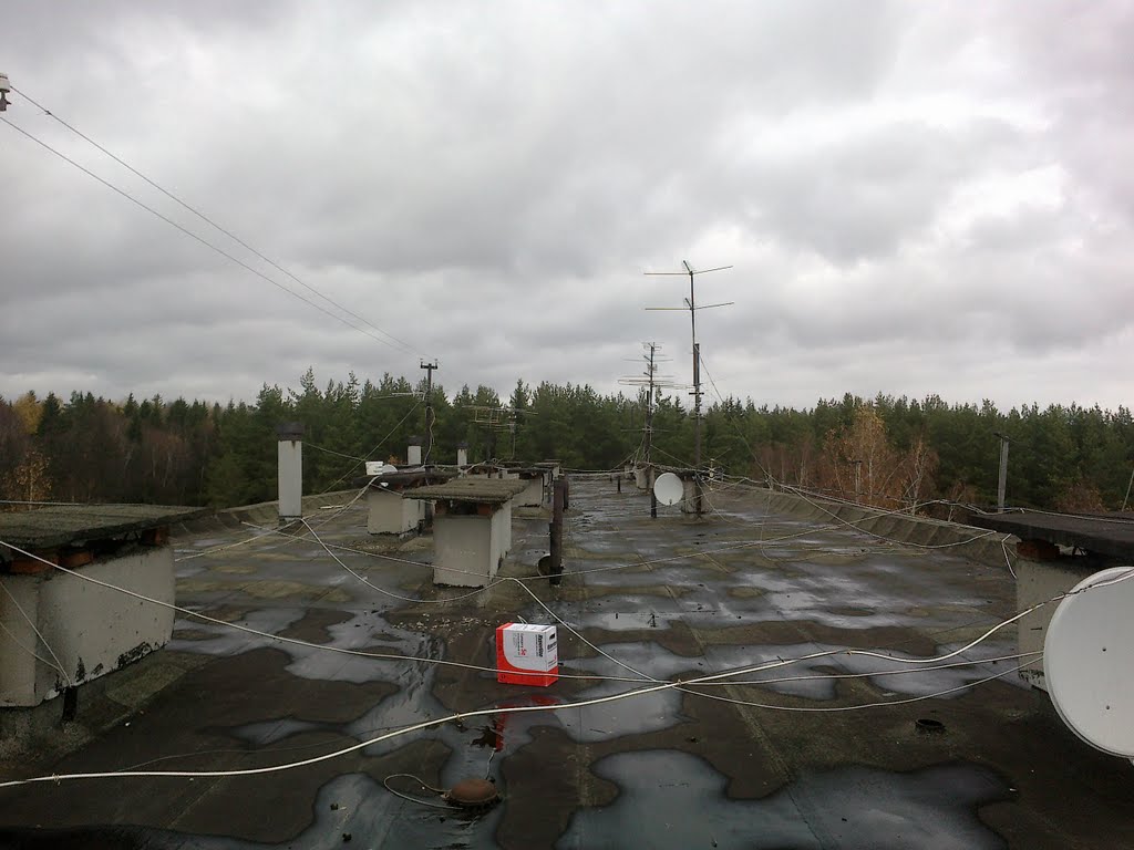 Крыша / Roof