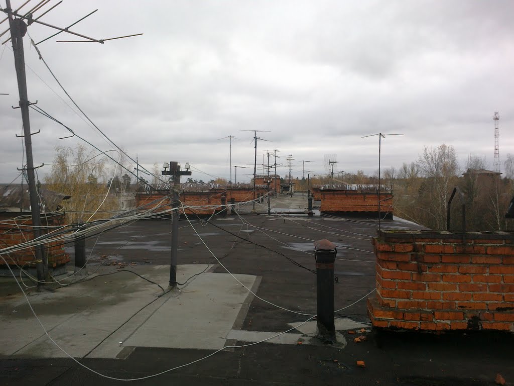 Крыша / Roof