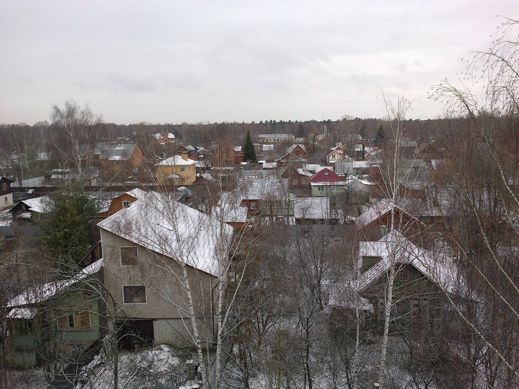 Дома с крыши / Houses with roofs