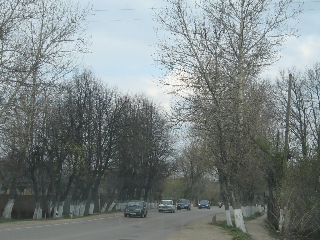Пос. Братовщина, Московская Область / Moscow region, Bratovshina
