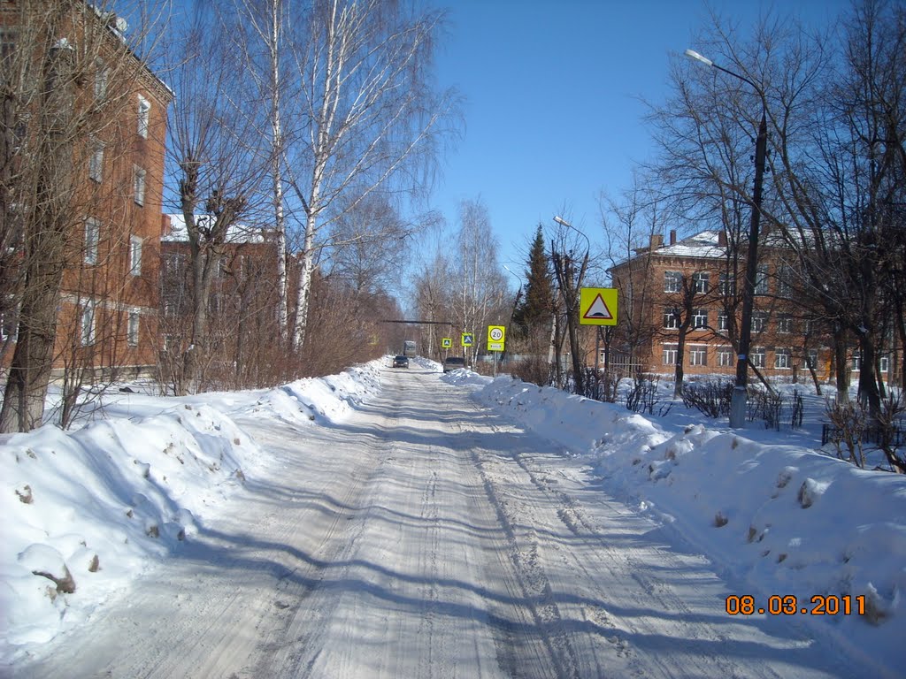 ул. Школьная