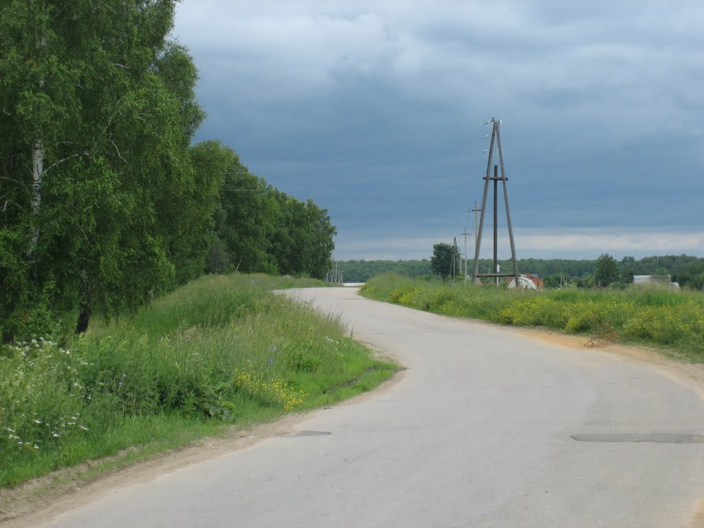 Возле леса