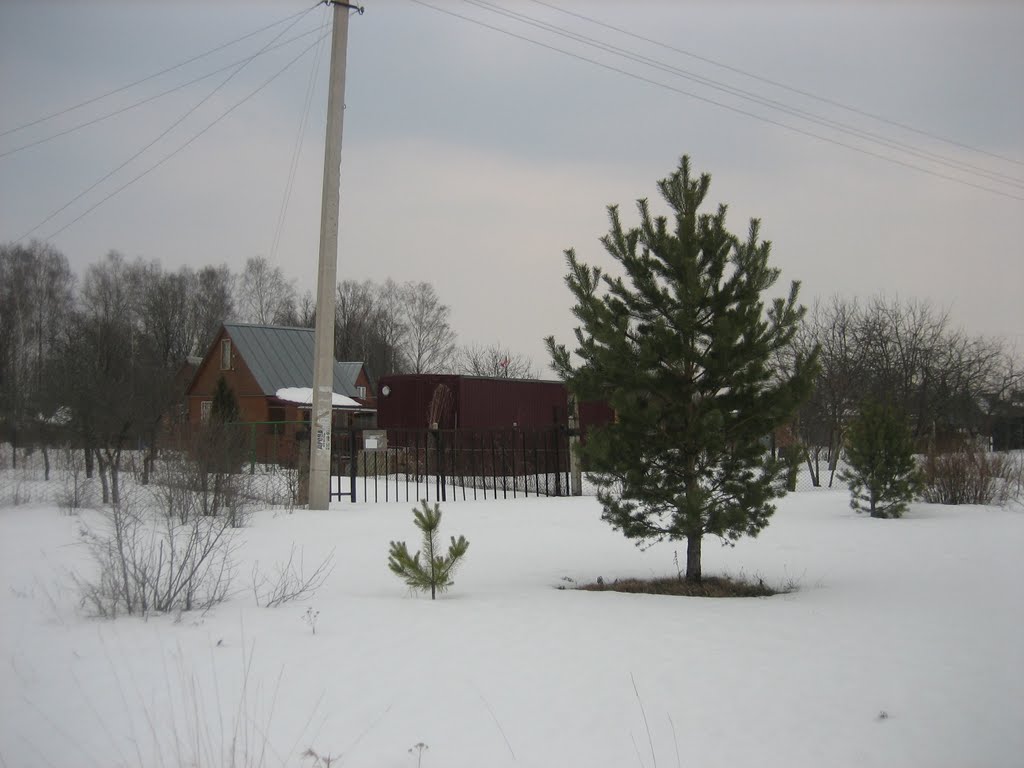 Сосенки