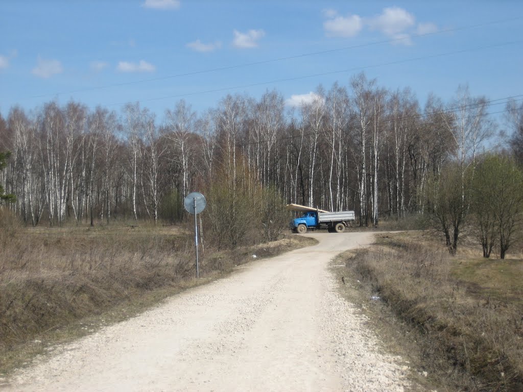 Дорога к лесу