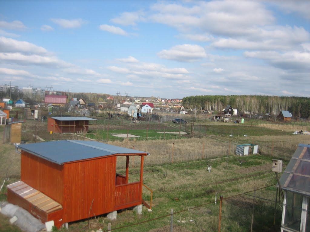 Огороды