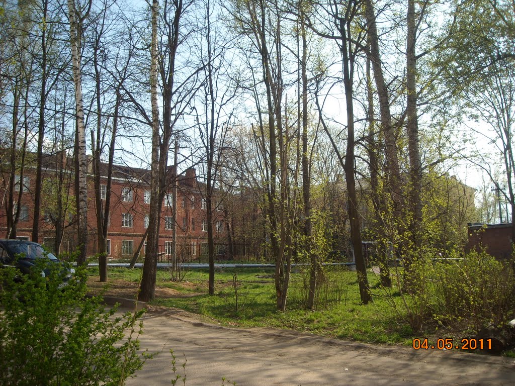 во дворе