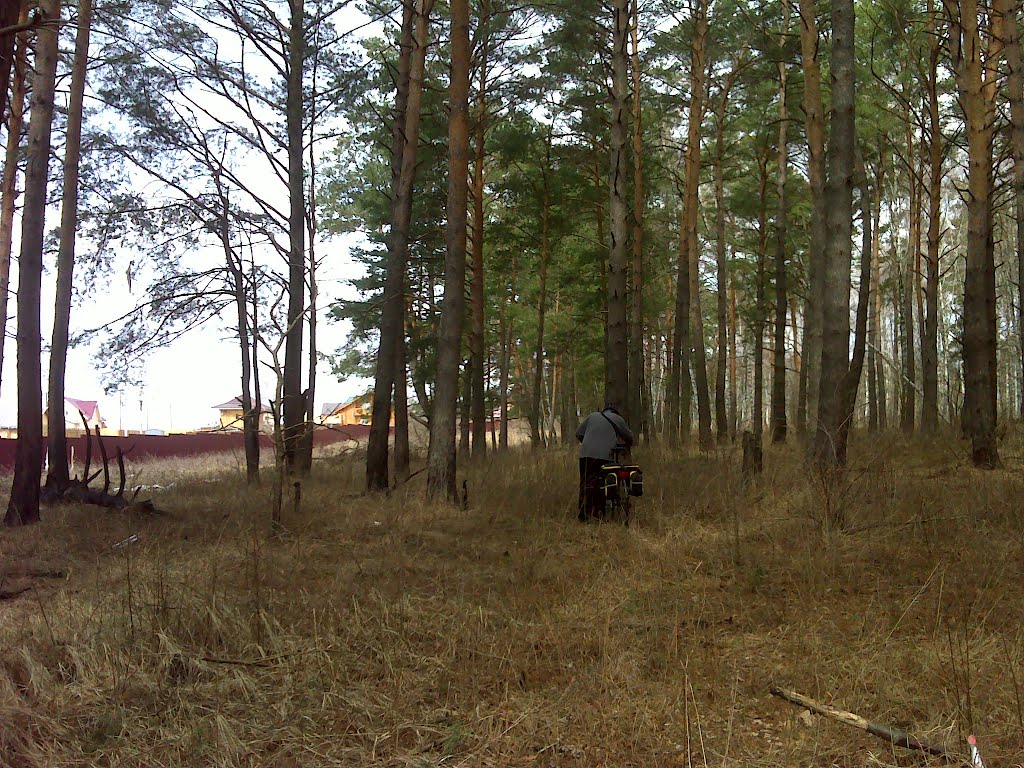 В лесу около КП "Волшебная страна"