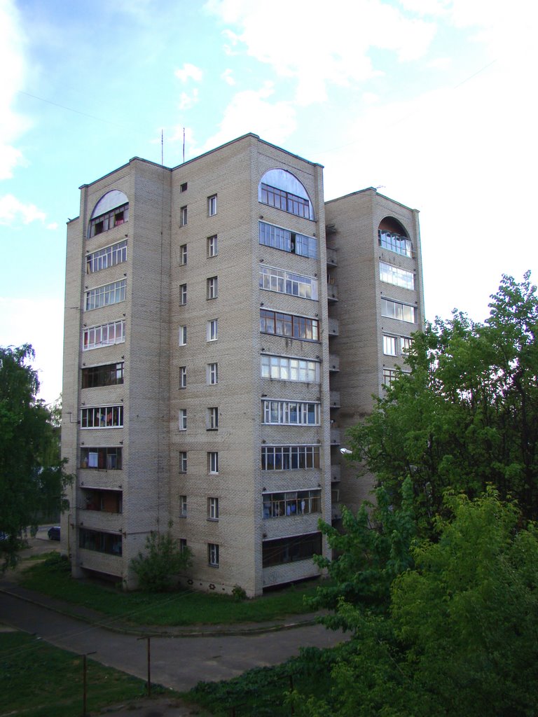 Вид с другой стороны дома / The view from the other side of the house
