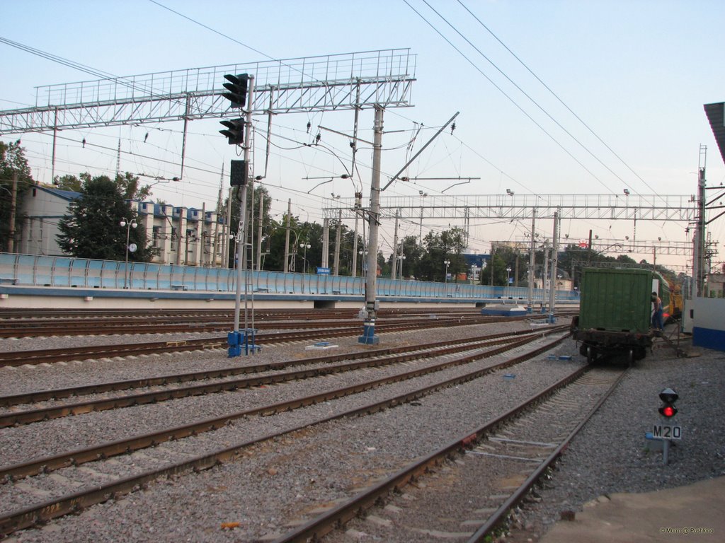 The railways / Наша железка