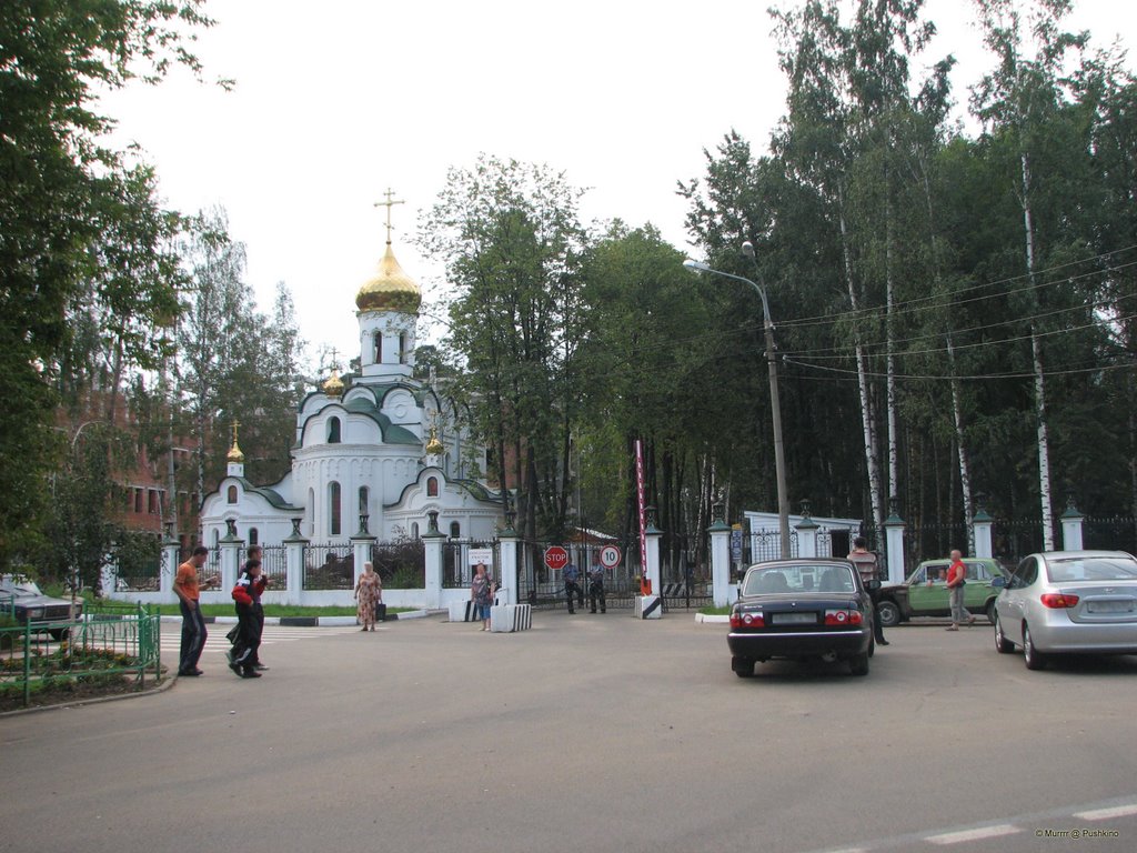 Pushkino Medical Center / ЦРБ