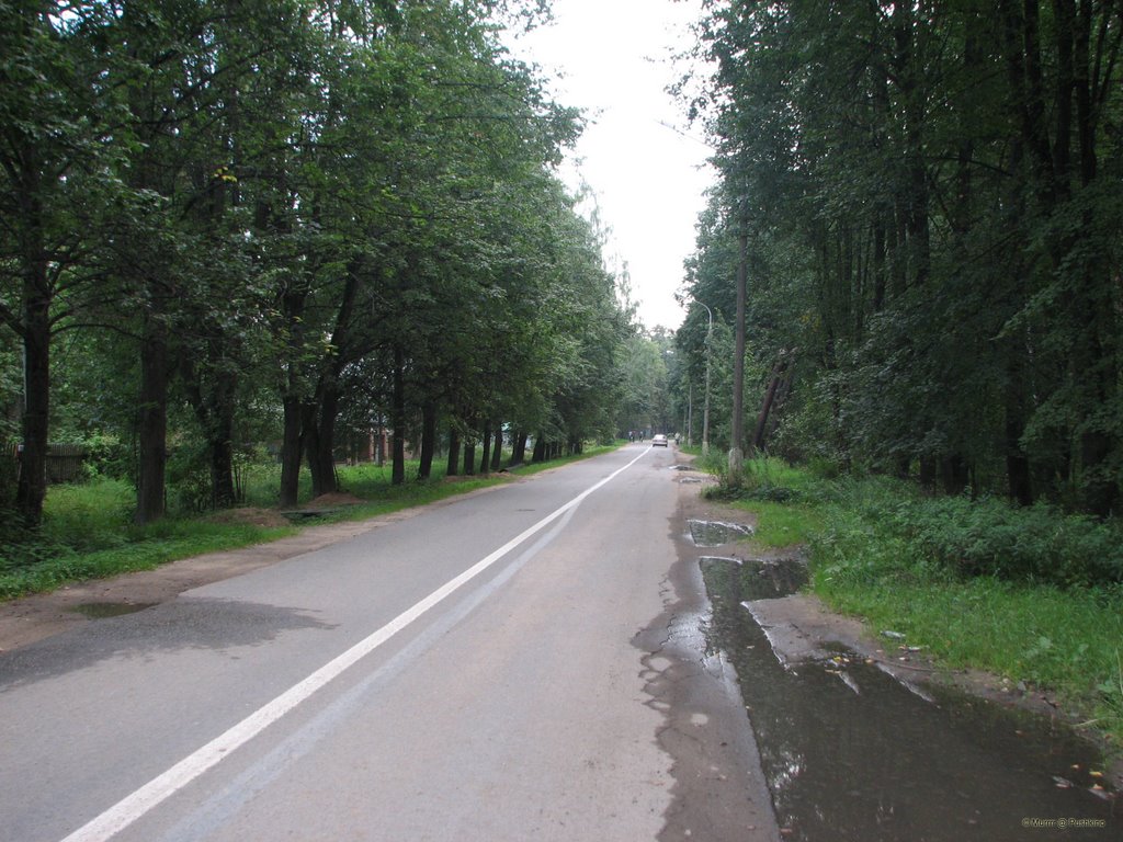 Dobrolyubovskaya St. / ул. Добролюбовская