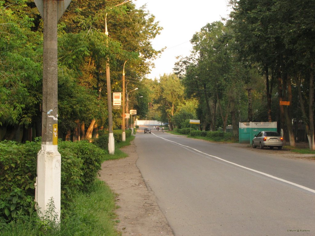 Pervomayskaya St. / ул. Первомайская