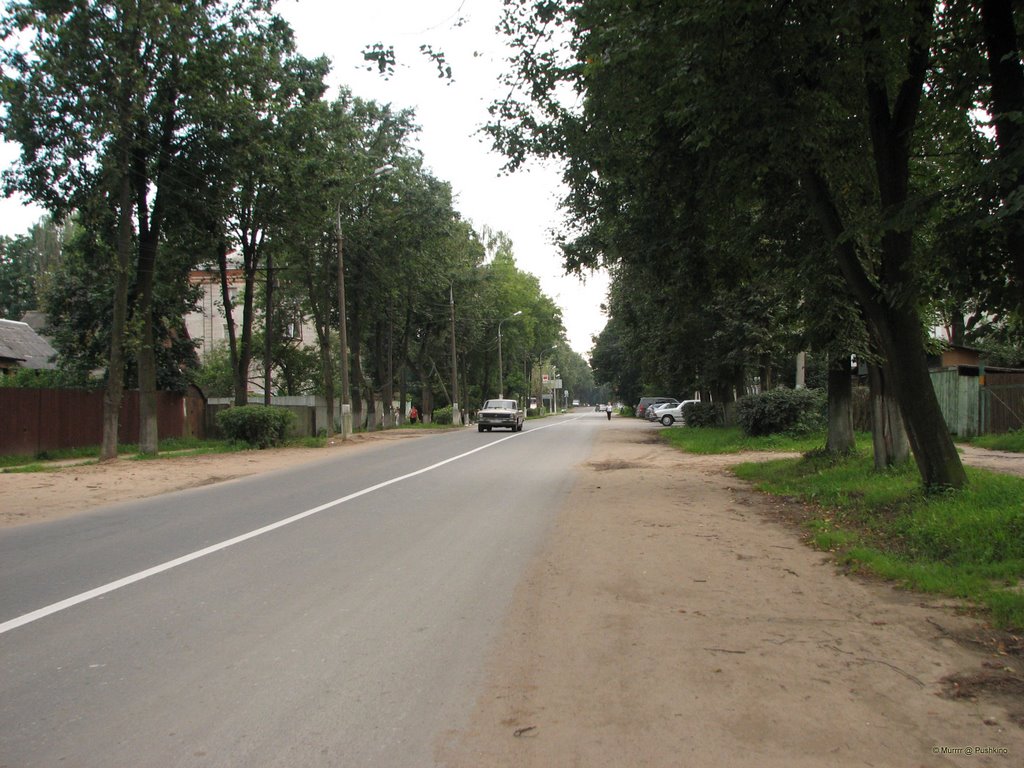 Dobrolyubovskaya St. / ул. Добролюбовская