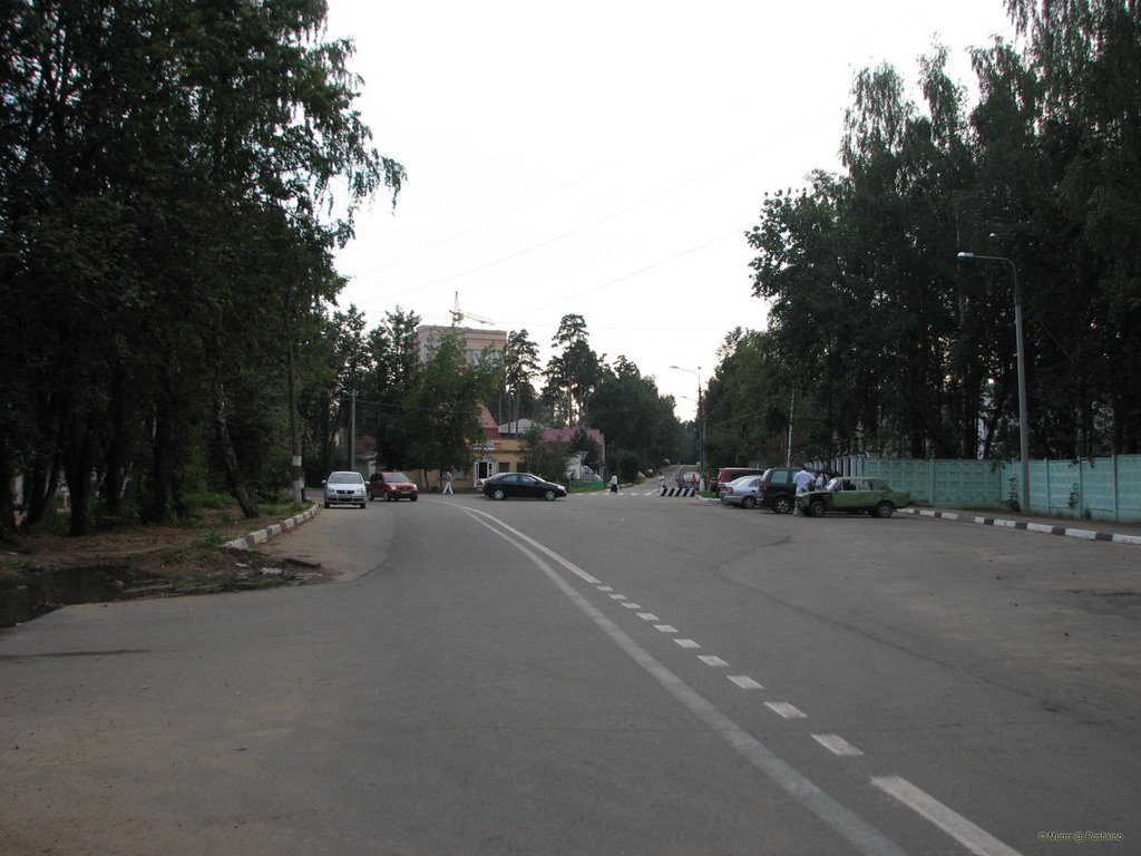 Dobrolyubovskaya St. / ул. Добролюбовская
