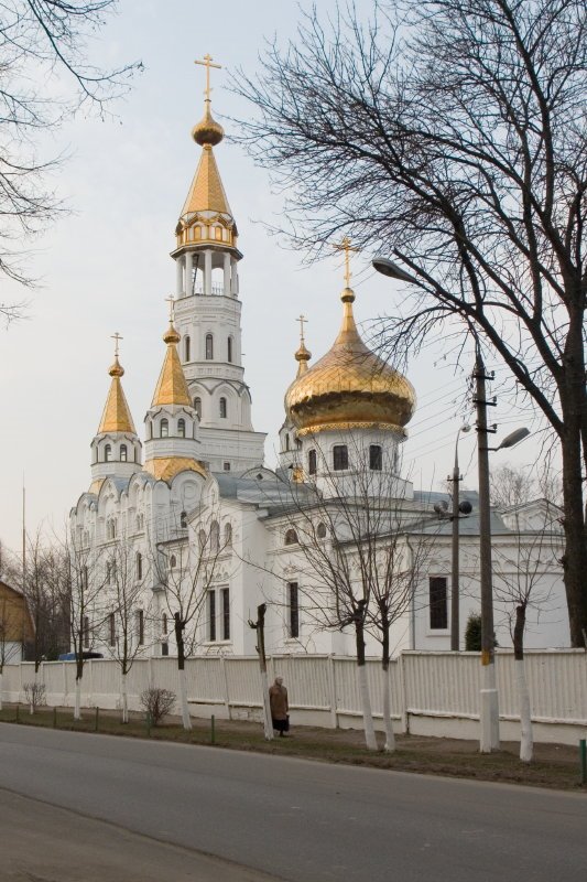 Theophany Temple of the Virgin-Icon