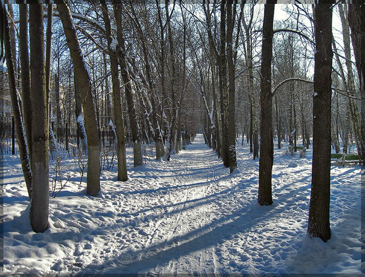 Аллея в парке.