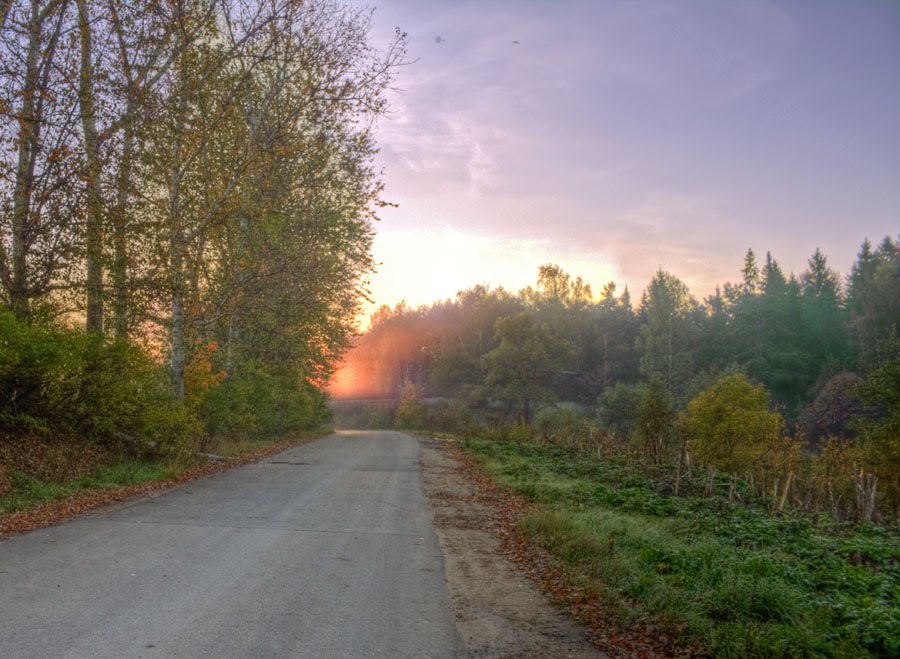 Дорога в рассвет / The road into dawn.