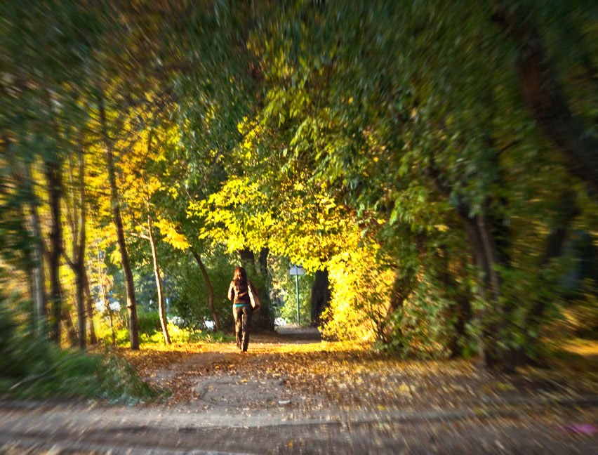 Тоннель в осень / The tunnel into autumn.