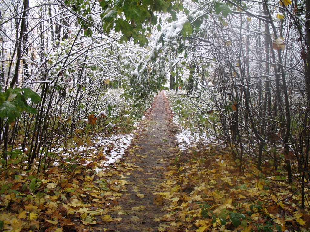 Первый снег