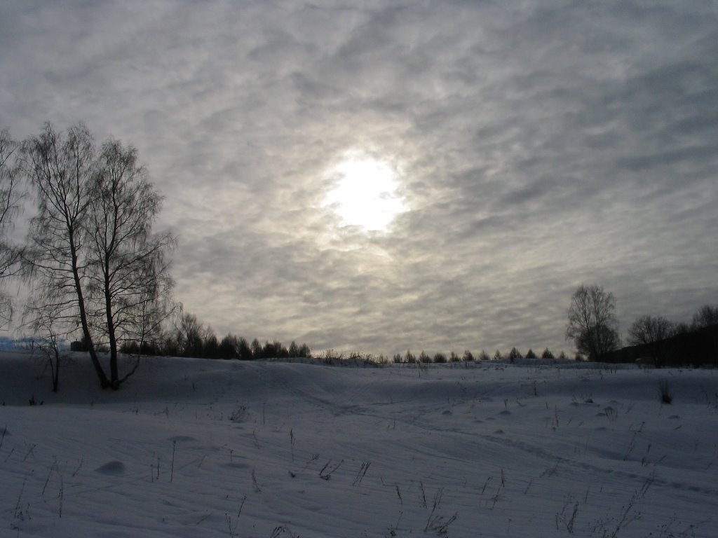 Zima