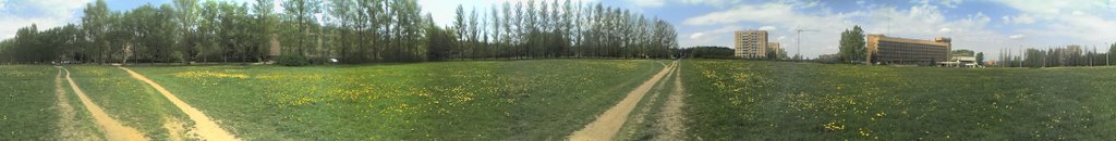Панорама поля летом