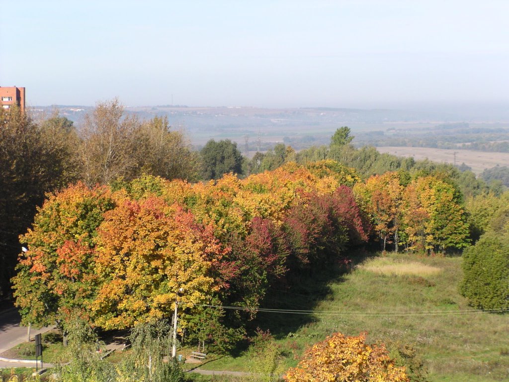 Autumn