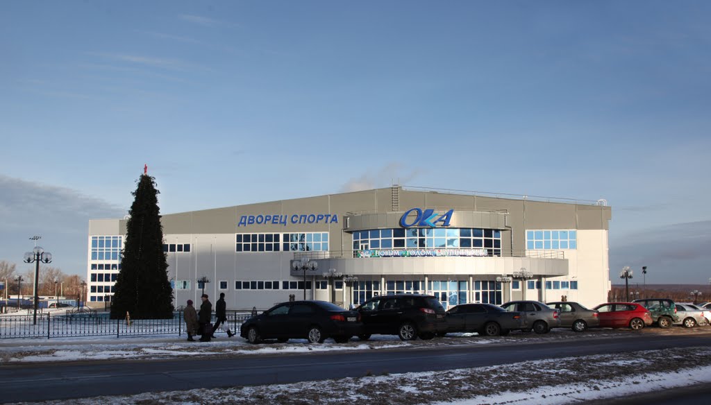Дворец спорта "Ока"