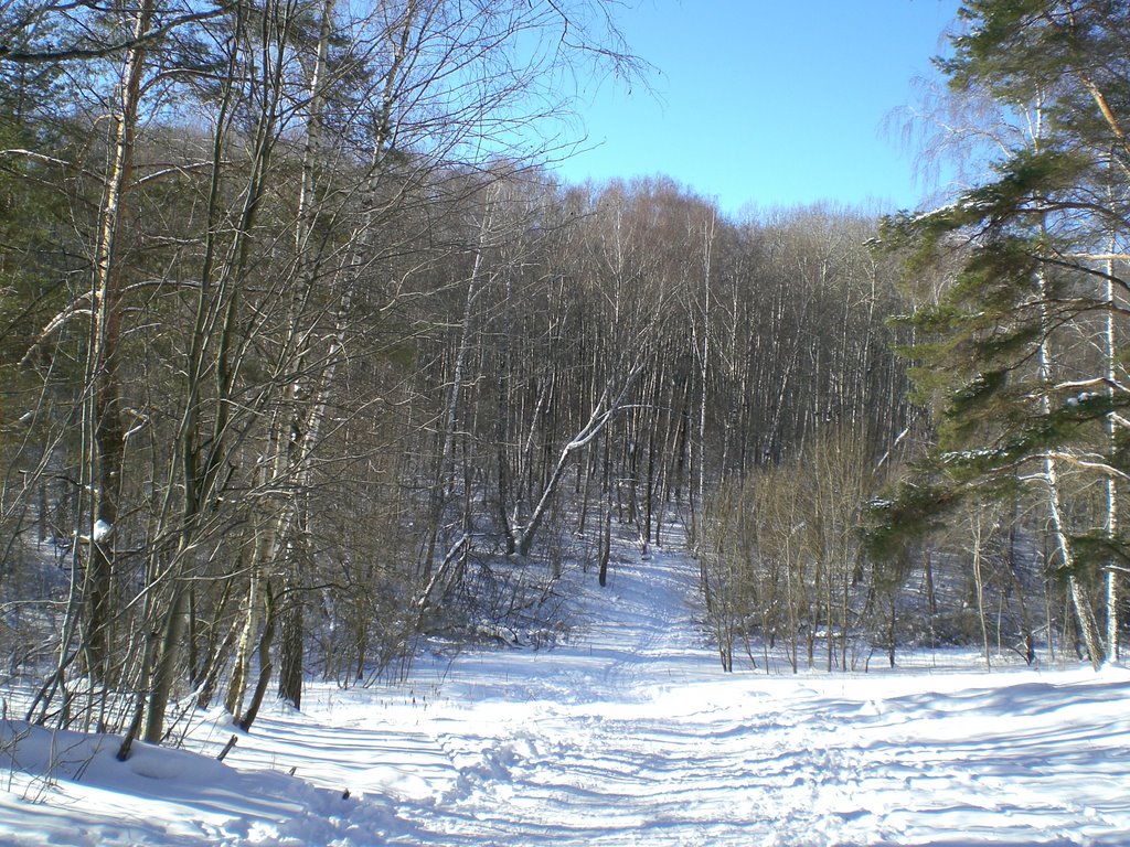 Ravine FIAN