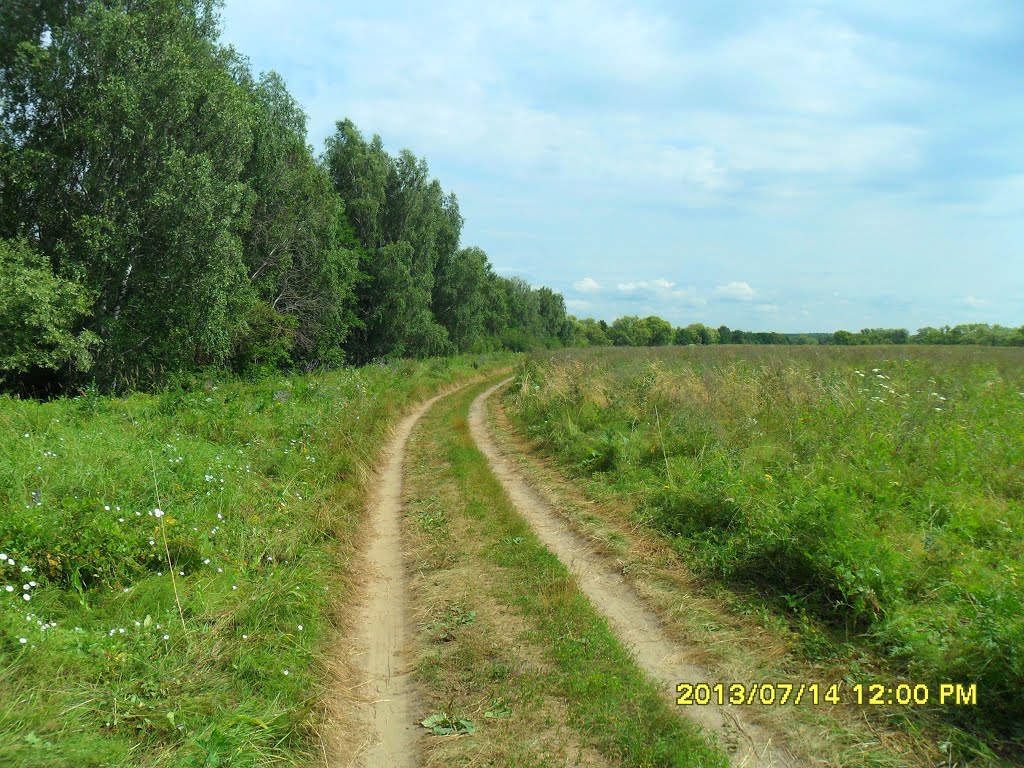 м