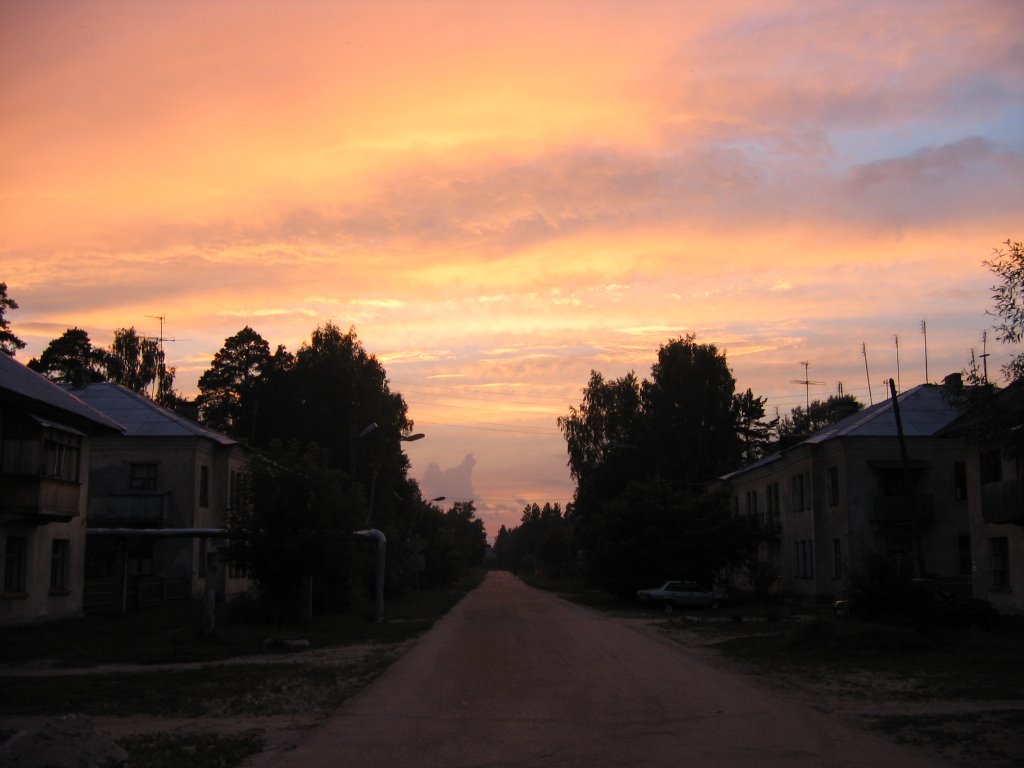 пос. Радовицкий мох. Июль 2005г.