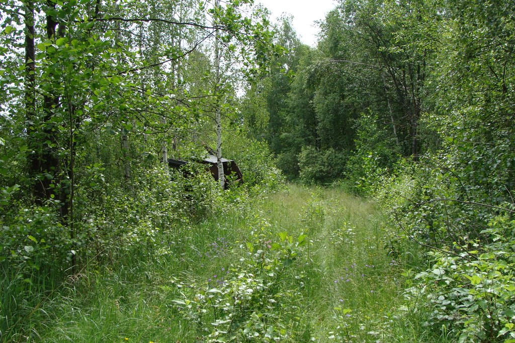 Клепиковский район, Рязанская область