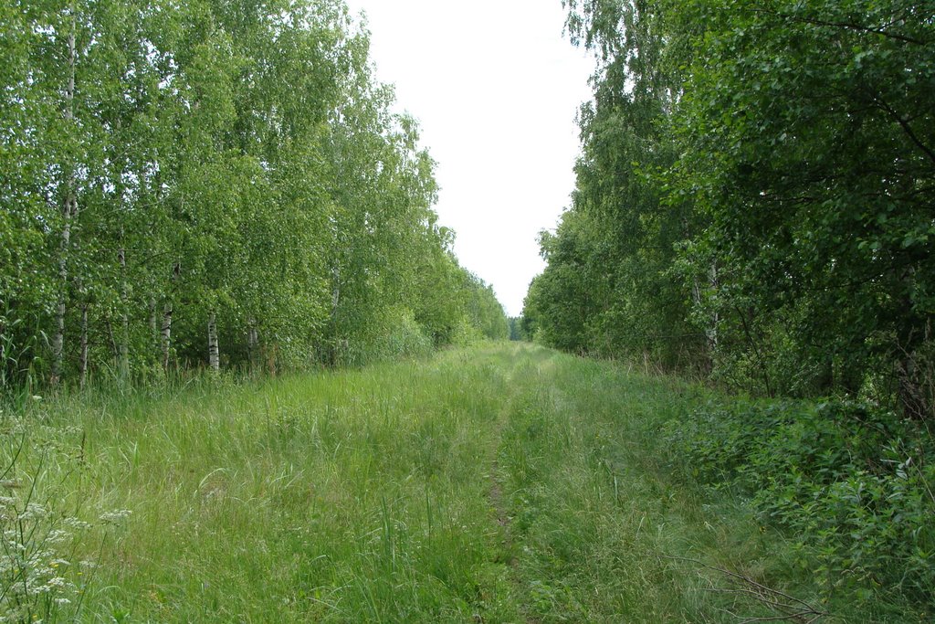 Радовицкий