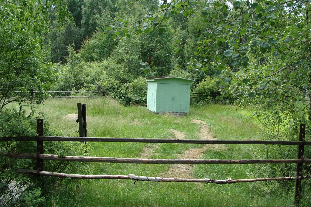 Радовицкий