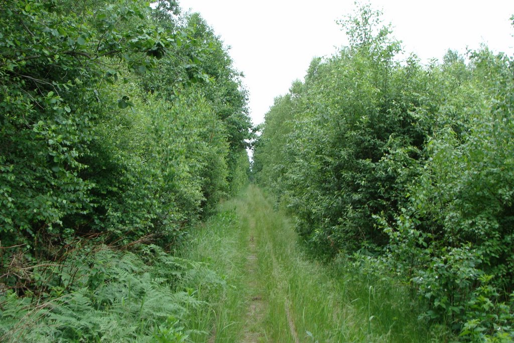 Шатурский район, Московская область