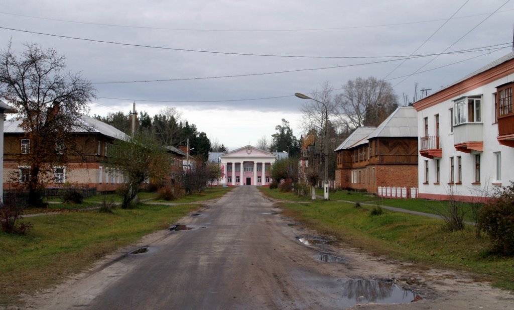 Улица пос.Радовицкий мох