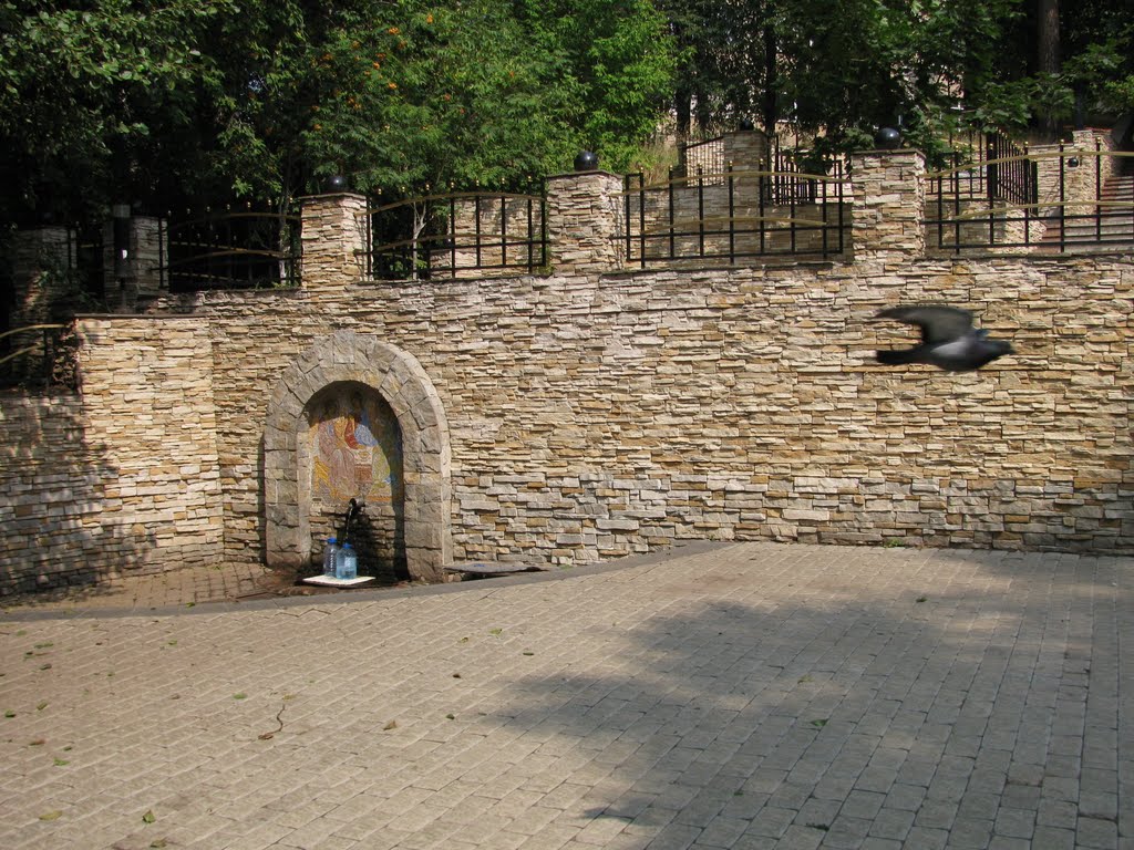 родник