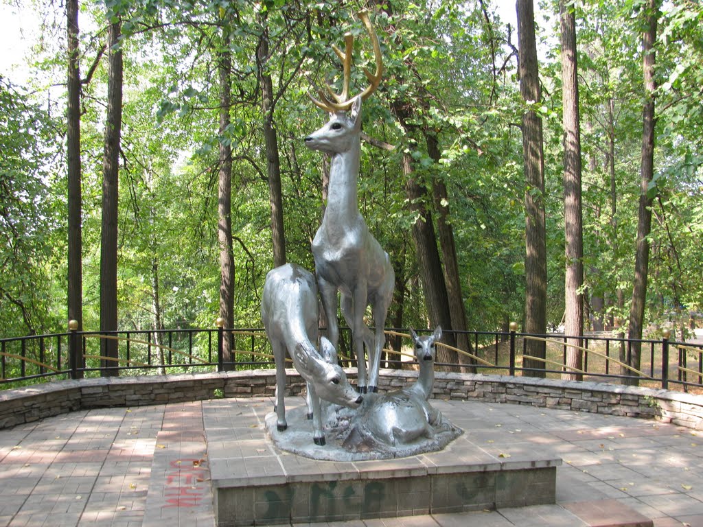 Олени