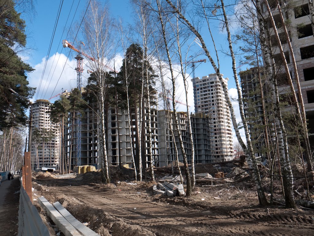 2010 г.