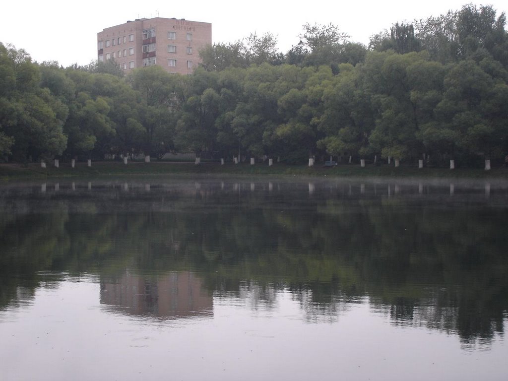 Раменское, пруд. Лето 2005 г.