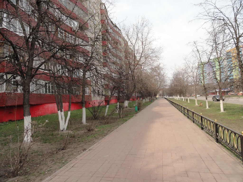 Раменское